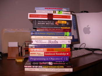my first stack of books for 2006